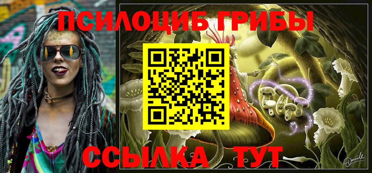 Псилоцибиновые грибы MAGIC MUSHROOMS  Псилоцибиновые грибы MAGIC MUSHROOMS  Балашов  Вход с VPN 